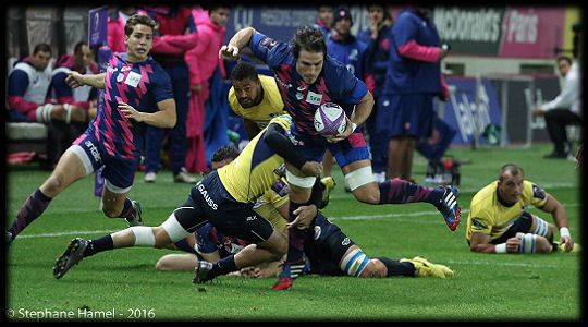 Stade Francais Timisoara Saracens